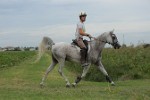 MAT_5658