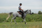 MAT_5772