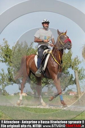 MAT_4884.JPG