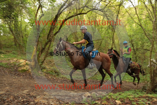 MAT_0310.JPG