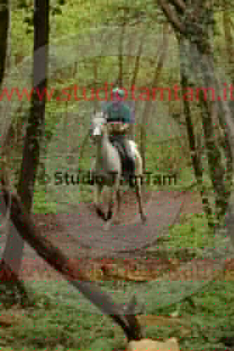 MAT_0359.JPG