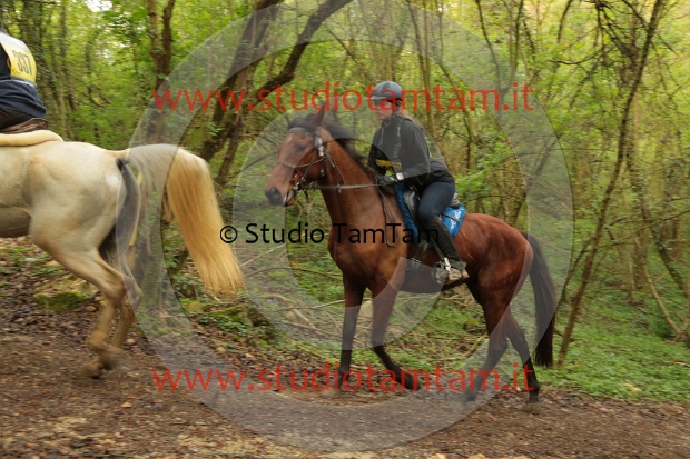 MAT_0423.JPG