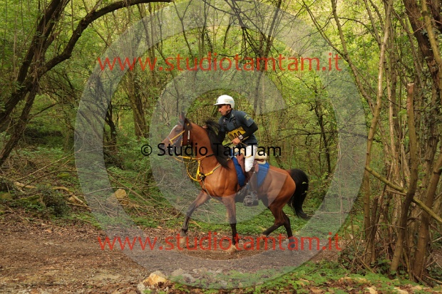 MAT_0899.JPG
