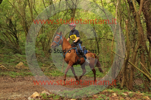 MAT_0906.JPG