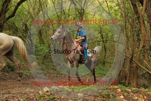 MAT_1019.JPG