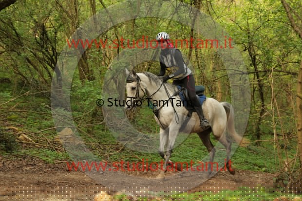 MAT_1071.JPG