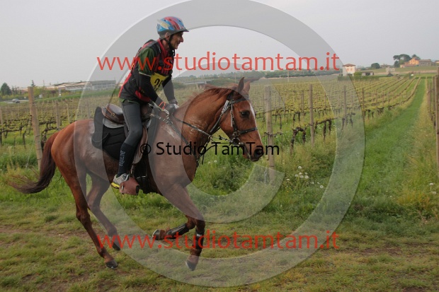 IMGB1308.JPG