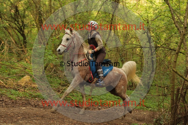MAT_0547.JPG