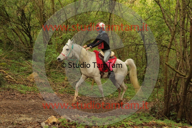 MAT_0678.JPG