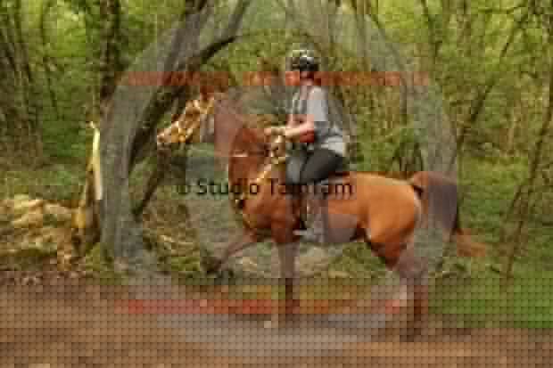 MAT_0759.JPG
