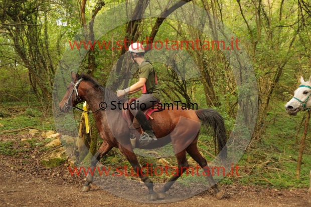 MAT_0781.JPG