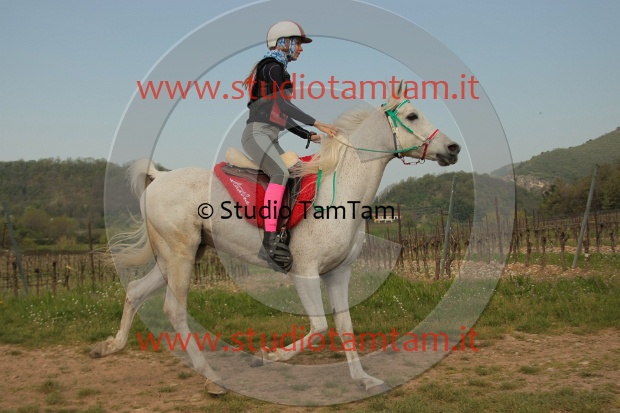 IMGB2257.JPG