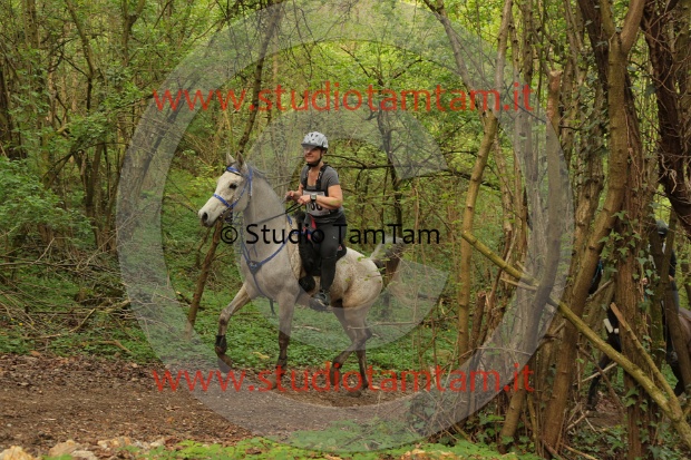 MAT_1112.JPG