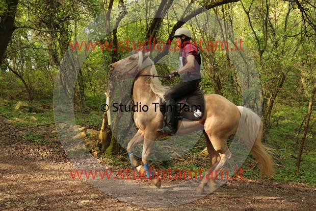 MAT_1267.JPG