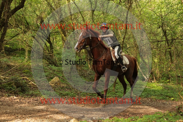 MAT_1321.JPG