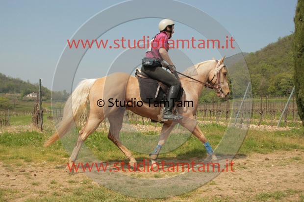 IMGB2997.JPG