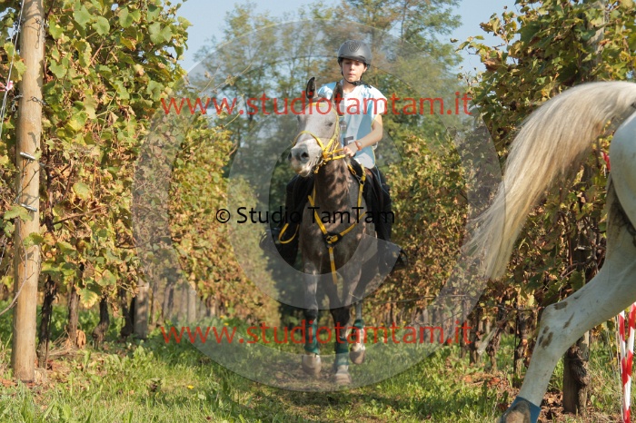 IMGB6278.JPG