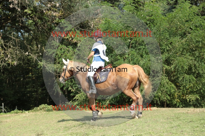 MAT_7414.JPG