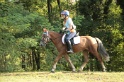 MAT_6733