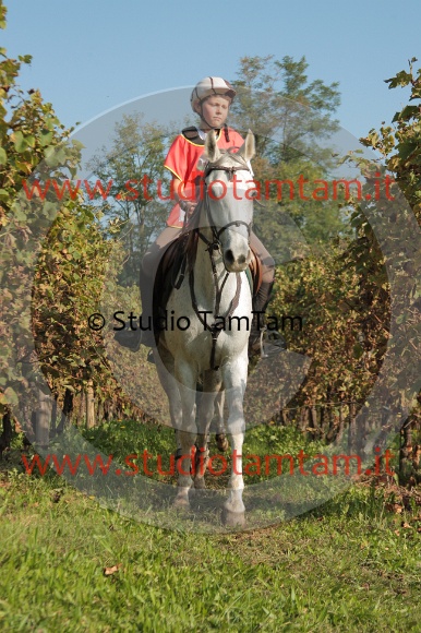 IMGB6169.JPG