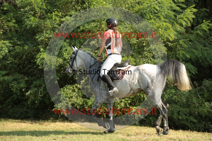 MAT_6842.JPG