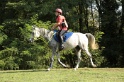 MAT_7008