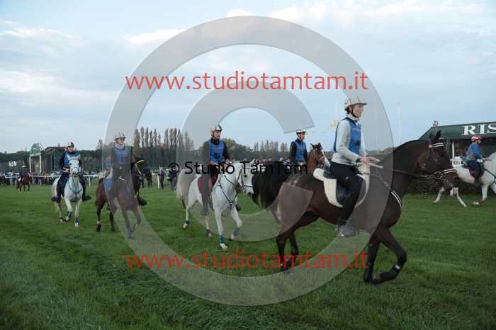MAT_9572.JPG