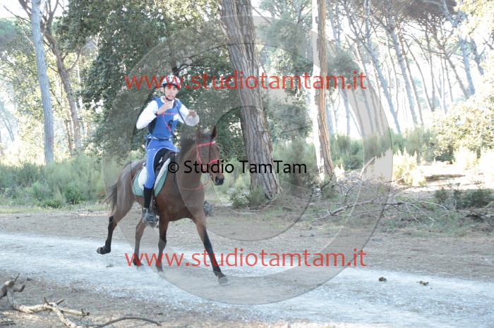 MAT_0010.JPG