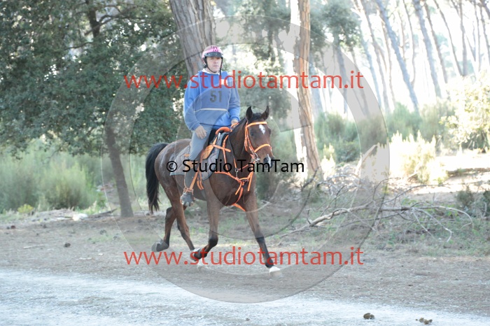 MAT_0037.JPG