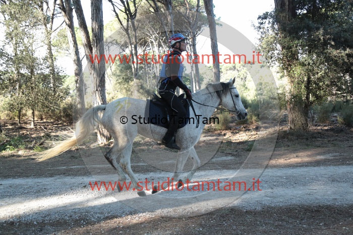 MAT_0059.JPG