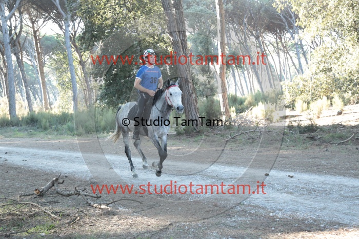 MAT_0063.JPG