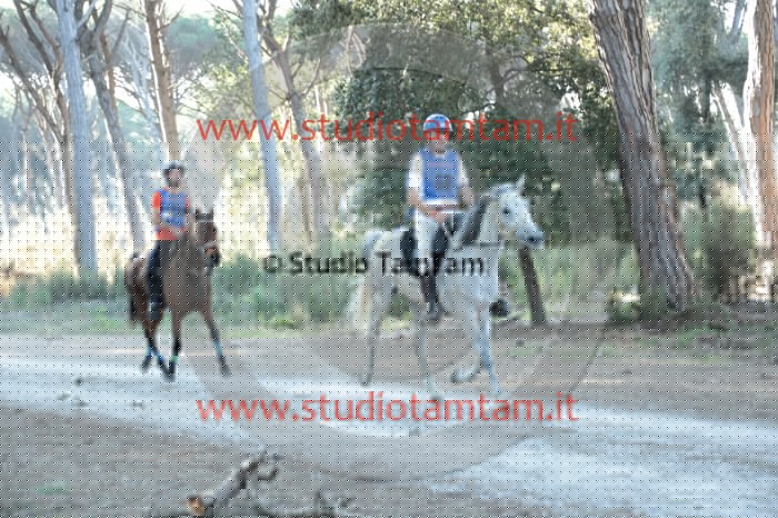 MAT_0071.JPG