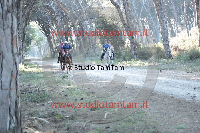 MAT_0097.JPG