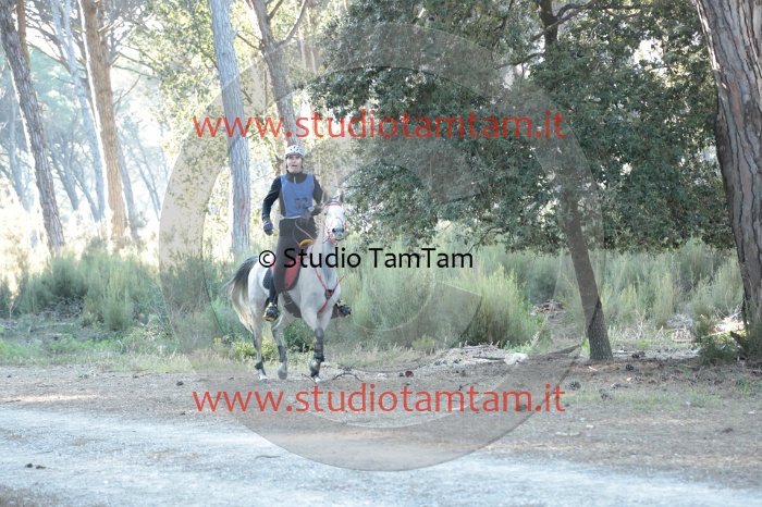 MAT_0109.JPG