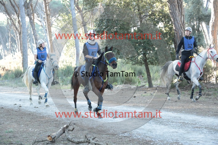 MAT_0112.JPG