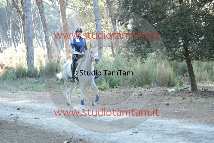 MAT_0132.JPG