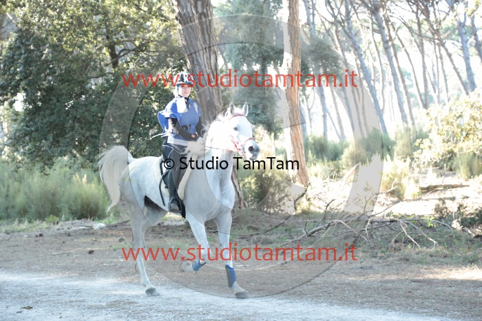 MAT_0135.JPG