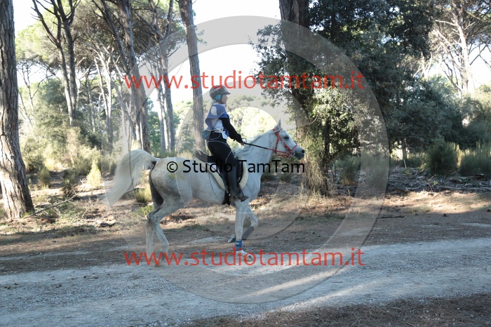 MAT_0139.JPG