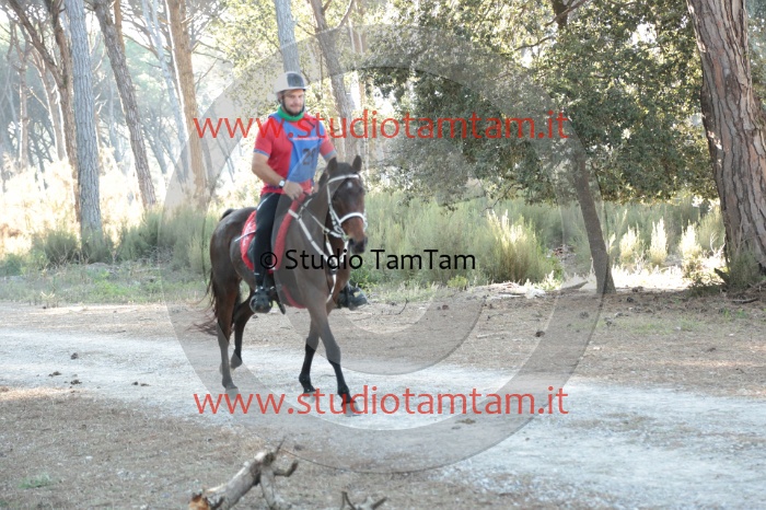MAT_0216.JPG