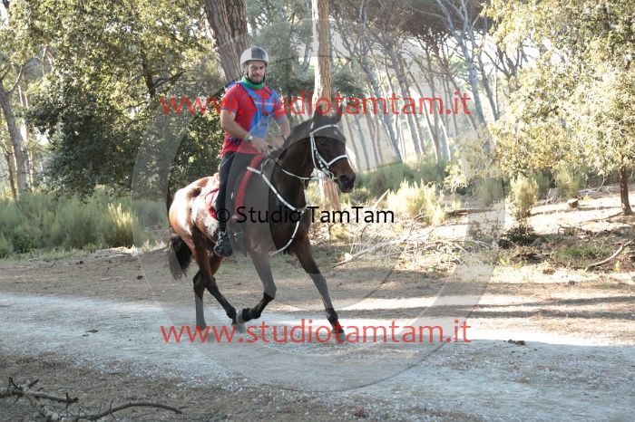 MAT_0218.JPG