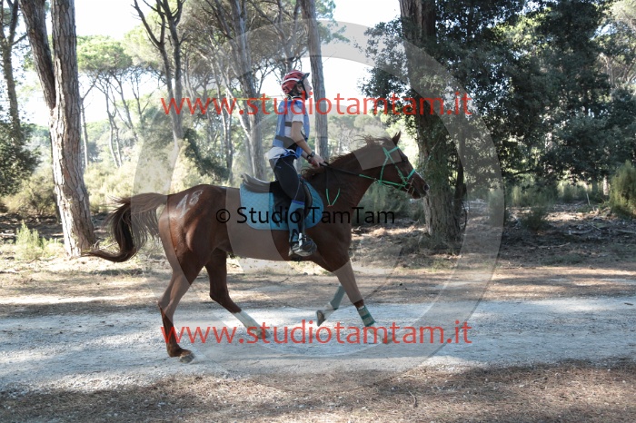 MAT_0540.JPG