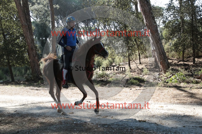 MAT_0705.JPG