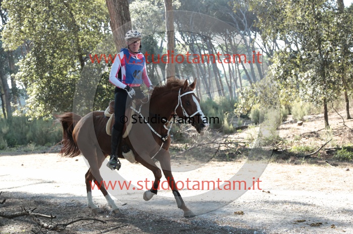 MAT_0717.JPG