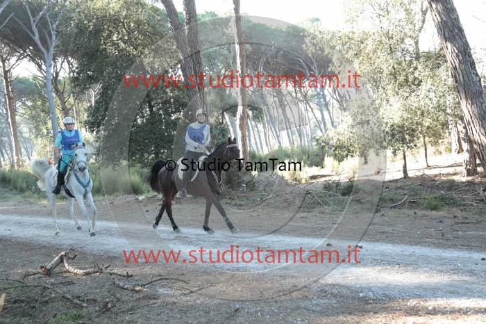MAT_9977.JPG
