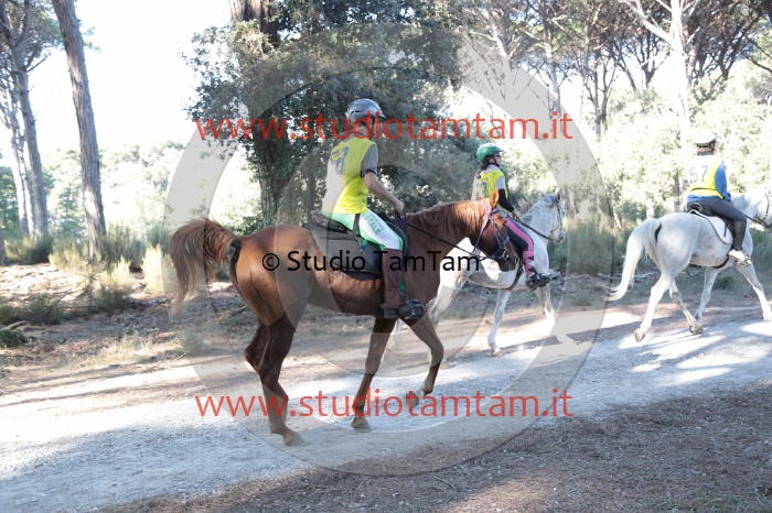 MAT_0320.JPG