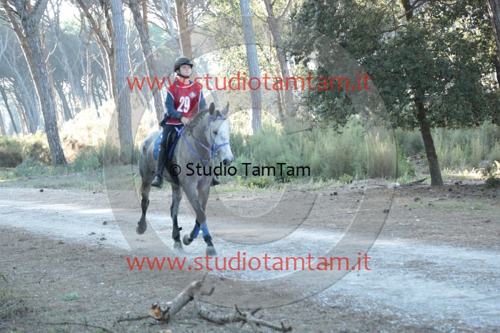 MAT_0158.JPG