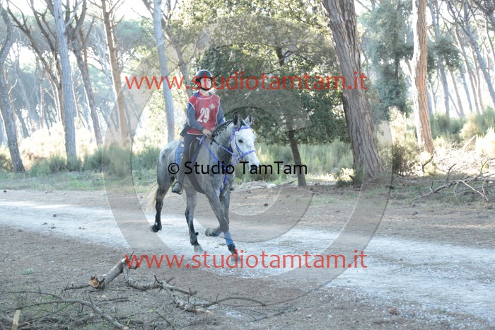 MAT_0159.JPG