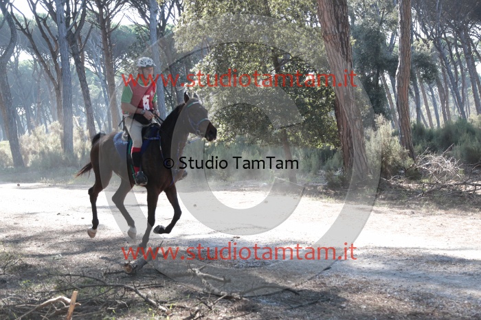 MAT_0667.JPG