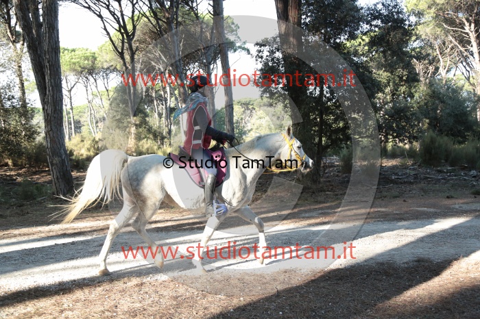 MAT_9894.JPG