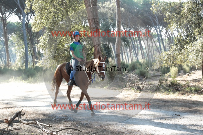 MAT_0408.JPG